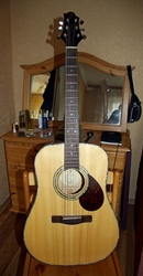 Новая гитара (western) Greg Bennett модель D-9